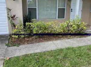 Bush Trimming by Harold Cummings for Troy Hill Rentals A. in Melbourne, FL