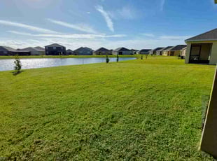 Barbara B.'s Lawn Mowing service result