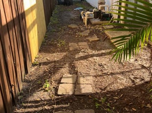 Leaf Removal by Felipe Dothe for Ashley W. in Oldsmar, FL
