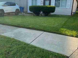 Marie A.'s Lawn Mowing Service service result