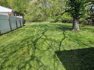 Tony B.'s Lawn Service service result