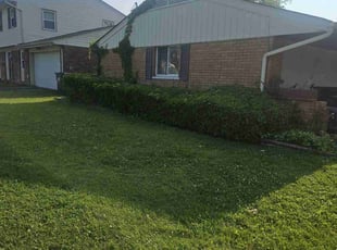 Bush Trimming by Nicholas Weber for Pat R. in Forest Park, OH