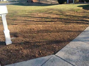 Leaf Removal by Matthew Ballard for Marietta I. in Charlotte, NC