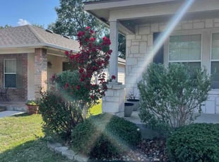 Bush Trimming by Pedro MartΓnez for Donna E. in Boerne, TX