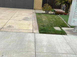 Miguel A.'s Lawn Mowing service result