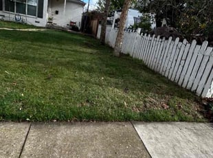 Leaf Removal by Gabriel Aldrete for Teresa B. in Sacramento, CA
