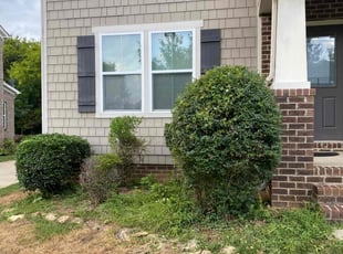 Bush Trimming by Shawn Pressley for Celeste S. in Indian Trail, NC