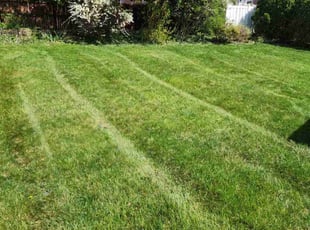 Lorie R.'s Lawn Maintenance service result