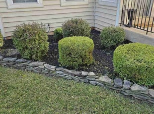 Bush Trimming by Brian Franz for Clayton J. in Manassas, VA