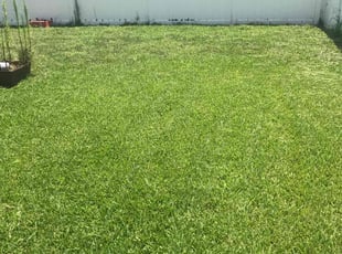 Michelle G.'s Lawn Maintenance service result