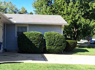 Bush Trimming by William Beacham for Jim B. in Wichita, KS