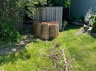 Cleanups by Alexander Pellot Ayala for Lynn B. in Columbus, OH