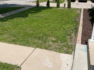 Aeration by Jevonta Johnson for Tal A. in Milwaukee, WI