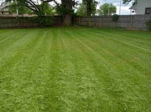Shane T.'s Lawn Care service result