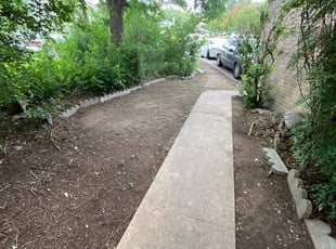Leaf Removal by Vicente Lopez for Essie E. in Austin, TX