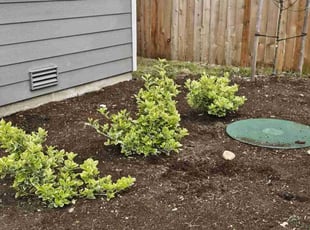 Weeding by Karey Hinkson for Louis R. in Yelm, WA