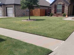 Jane M.'s Lawn Mowing service result