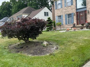 Bush Trimming by Susy Mia Nieto for Isaac W. in Newark, DE