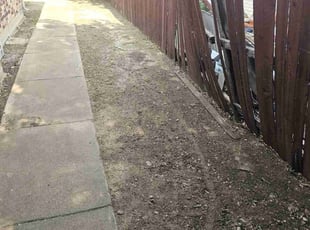 Cleanups by Gerome Randle for Alex W. in Arlington, TX