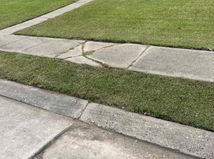 Jackie C.'s Lawn Mowing service result