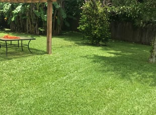 Peter A.'s Yard Cutting service result