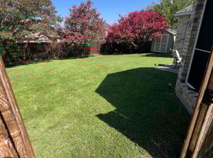 Stephen R.'s Lawn Mowing service result