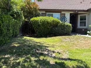 Bush Trimming by Omar Meza for Marla G. in Moreno Valley, CA