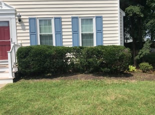 Bush Trimming by Recardo Hunter for Elizabeth S. in Richmond, VA