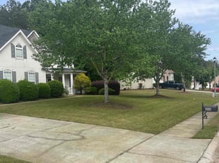 steve b.'s Lawn Service service result