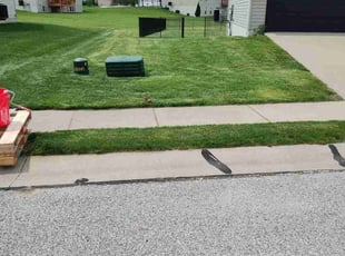 Ana C.'s Lawn Care service result