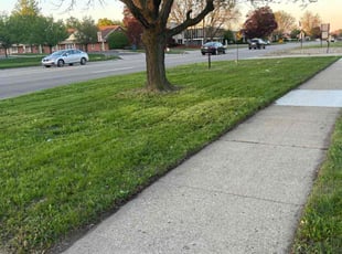 Juanita T.'s Lawn Maintenance service result