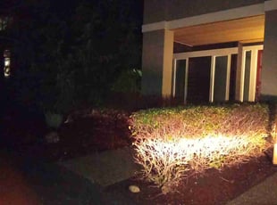 Bush Trimming by Amanda Honeck for Richard D. in Auburn, WA