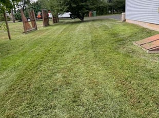 Kim J.'s Lawn Mowing service result