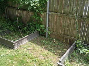 Weeding by Joel Rosa for Andrea A. in Rochester, NY
