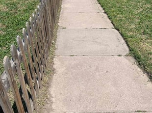 Cleanups by Tom Davis for Meghan W. in Denver, CO