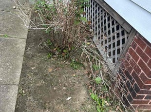 Weeding by Charles Hubbard for STANLEY J. in Cleveland, OH