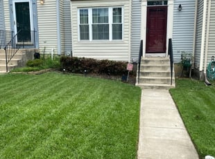 Bush Trimming by Melford Franklin for Kevin M. in Nottingham, MD