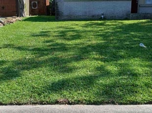 Alan P.'s Lawn Maintenance service result