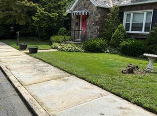 Valerie M.'s Lawn Service service result