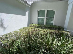 Bush Trimming by Ramon Taguja for Sean R. in Valrico, FL