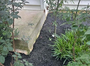 Mulching by Robert Hatton for Abeda A. in Fredericksburg, VA