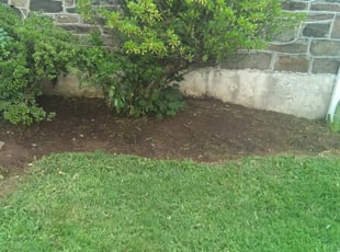 Weeding by Chris Nestel for James S. in Norristown, PA