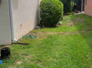 Bush Trimming by Carlos Martinez for Steve Y. in Davenport, FL