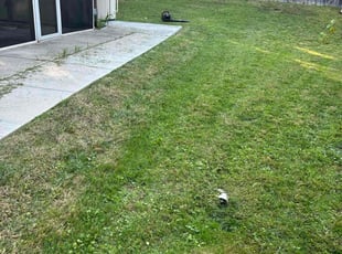 Tim B.'s Lawn Care service result