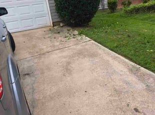 Bush Trimming by Arey Cooper for ONNA M. in Atlanta, GA