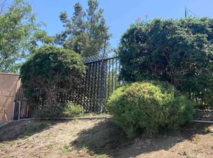 Bush Trimming by Hugo Lopez for Ruben M. in Menifee, CA