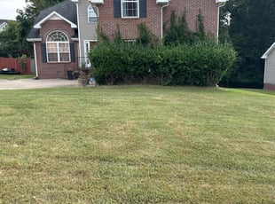 Beth S.'s Lawn Service service result