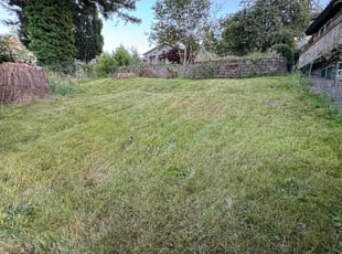 Bill W.'s Lawn Maintenance service result