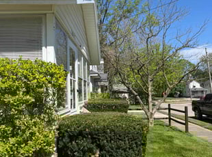 Bush Trimming by Christopher Noel for Hannah P. in Barberton, OH