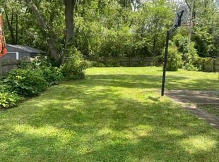 Ernie D.'s Grass Cutting service result